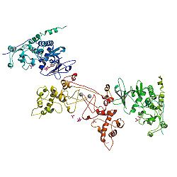 Recombinant Human Casein Kinase 2 alpha - Click Image to Close