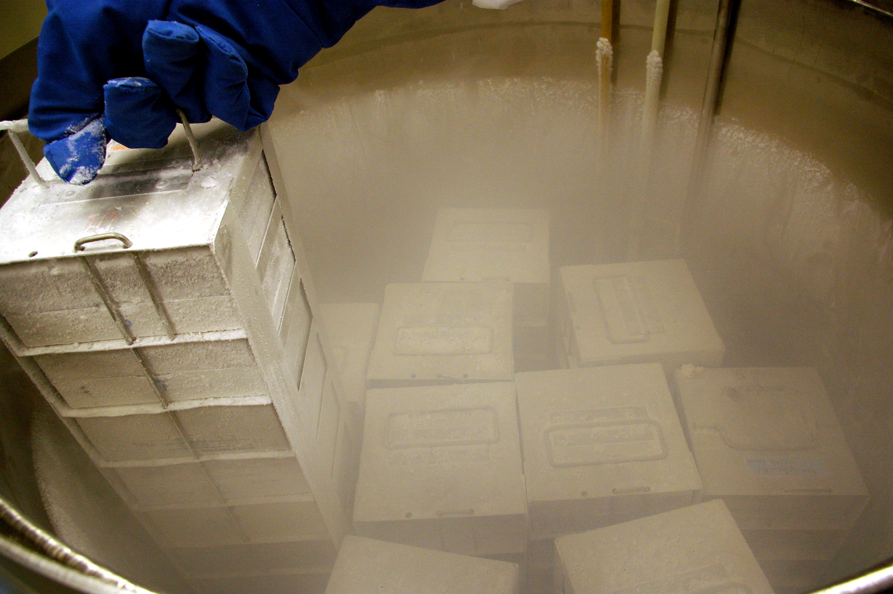 Cryostorage