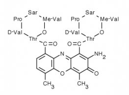 Actinomycin D