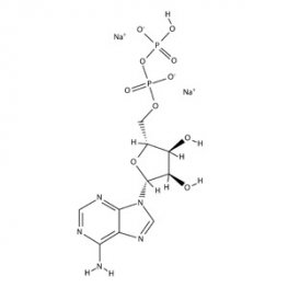 Adenosine-5'-Diphosphate Adenosine-5'-Diphosphate