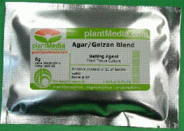 Agar-Gelzan Blend (Packets)