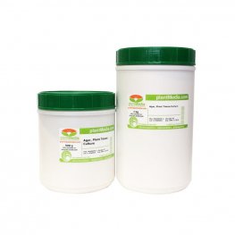 Agar, Plant Tissue Culture