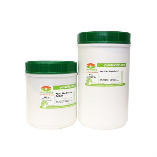 Agar, Plant Tissue Culture