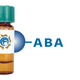 Agaricus bisporus Lectin (ABA/ABL) - Separopore&reg; 4B