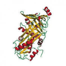 AIG2-Like Domain 1 Human (Recombinant)
