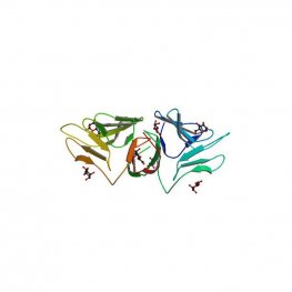 Allium sativum Lectin (ASA) - Semi-Pure