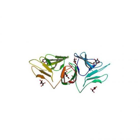 Allium sativum Lectin (ASA) - Semi-Pure
