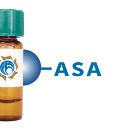 Allium sativum Lectin (ASA) - Separopore&reg; 4B