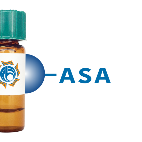 Allium sativum Lectin (ASA) - Separopore&reg; 4B