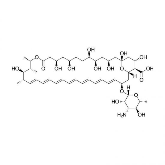 Amphotericin B