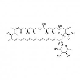 Amphotericin B Solution 100X, Sterile