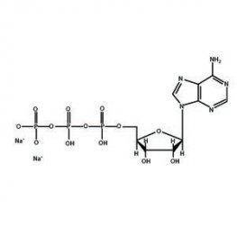 ATP Disodium Hydrate