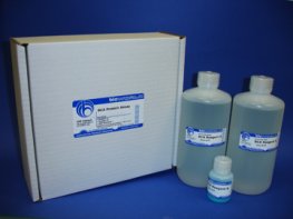 BCA (Bicinchoninic Acid) Protein Assay Kit with BSA Standards