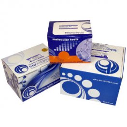 BCA Protein Assay Reagent B