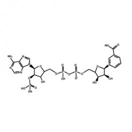 &beta;-Nicotinamide Adenine Dinucleotide Phosphate Trihydrate