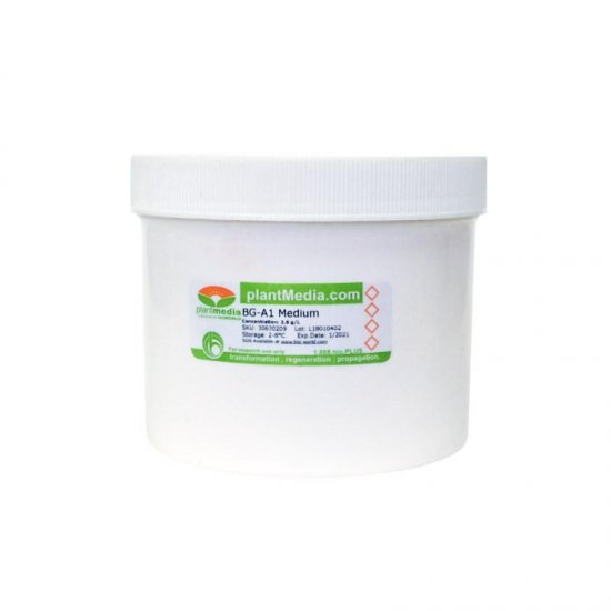 BG-A1 Medium