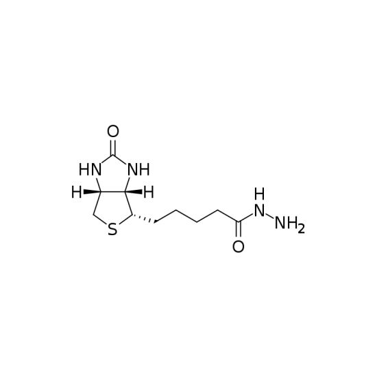 Biotin Hydrazide