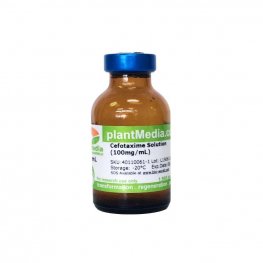Cefotaxime Sodium Salt Solution, 100mg/mL, Sterile