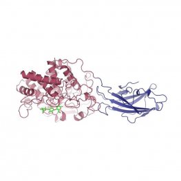 Cellulase (Trichoderma)
