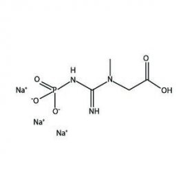 Creatine Phosphate