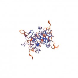Datura stramonium Lectin (DSA/DSL) - Semi-Pure