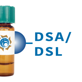 Datura stramonium Lectin (DSA/DSL) - Separopore&reg; 4B