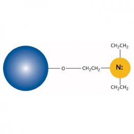 DEAE Separopore&reg; 6B-CL