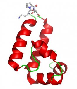 E.Coli DnaJ (HSP40), (Recombinant)