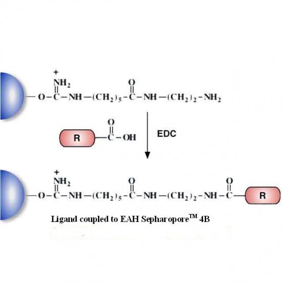 EAH Separopore&reg; 4B