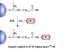ECH Separopore&reg; 4B