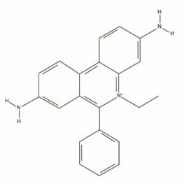 Ethidium Bromide, 10mg/mL