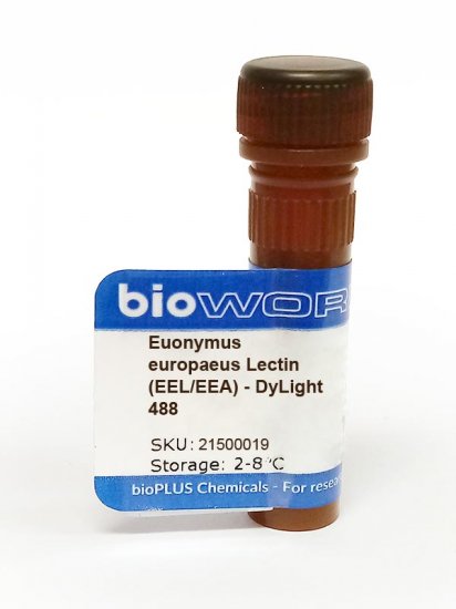Euonymus europaeus Lectin (EEL/EEA) - DyLight 488
