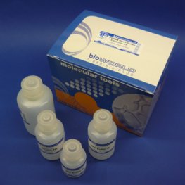 Focus&trade; DTT 2M