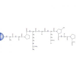 Gelatin Separopore&reg; 4B