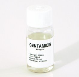Gentamicin Sulfate Solution, 50mg/mL, Sterile
