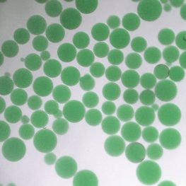 Green Separopore&reg; 4B-CL