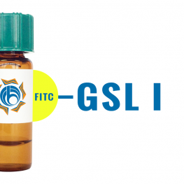 Griffonia simplicifolia Lectin (GSL I) - FITC (Fluorescein)