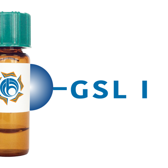 Griffonia simplicifolia Lectin (GSL I) - Separopore&reg; 4B