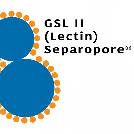 Griffonia simplicifolia Lectin (GSL II) - Macrobeads