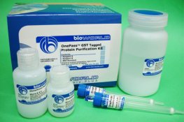 GST-Tagged Protein Purification Kit OnePass&trade; Column