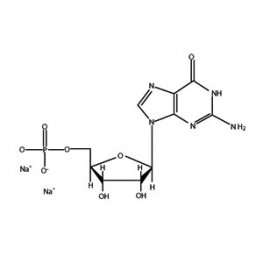 Guanosine-5'-Monophosphate
