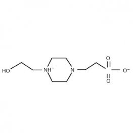 HEPES Buffer 1M, pH 7.4, DNase, RNase, and Protease Free