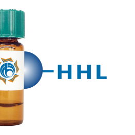 Hippeastrum hybrid Lectin (HHL) - Separopore&reg; 4B