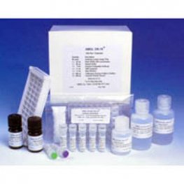 Human GRO-gamma (CXCL3), (Recombinant)
