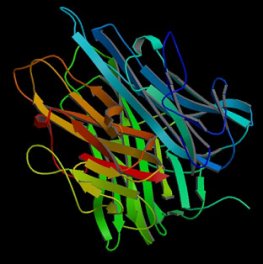 Human Tumor Necrosis Factor-alpha (Recombinant)