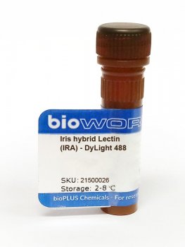 Iris hybrid Lectin (IRA) - DyLight 488