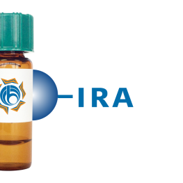 Iris hybrid Lectin (IRA) - Separopore&reg; 4B