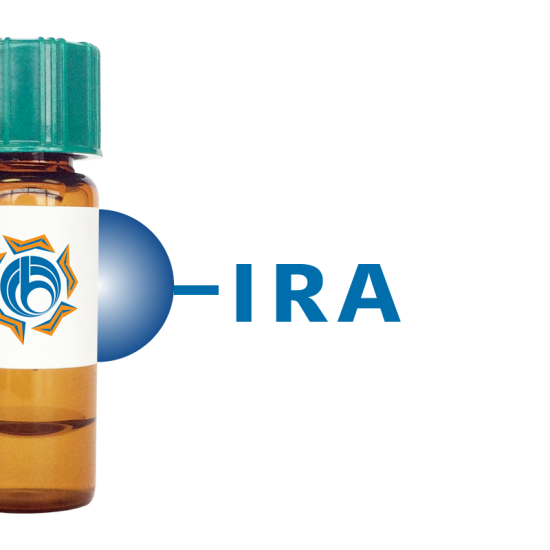 Iris hybrid Lectin (IRA) - Separopore&reg; 4B