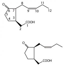 Jasmonic Acid
