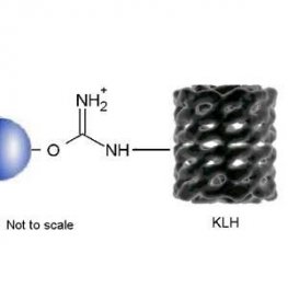 KLH Separopore&reg; 4B